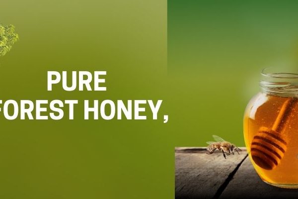 Learn the step-by-step process of importing honey into Vietnam. Understand the required documentation, animal quarantine procedures, food safety checks, and taxes for successful honey importation.
