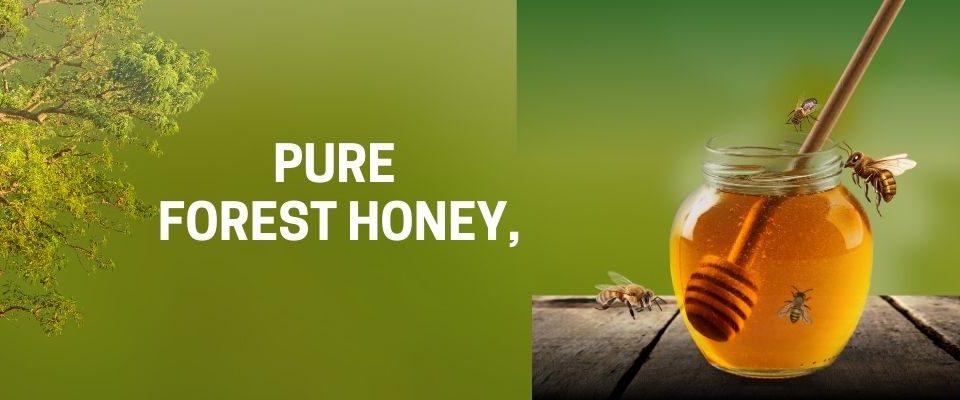 Learn the step-by-step process of importing honey into Vietnam. Understand the required documentation, animal quarantine procedures, food safety checks, and taxes for successful honey importation.