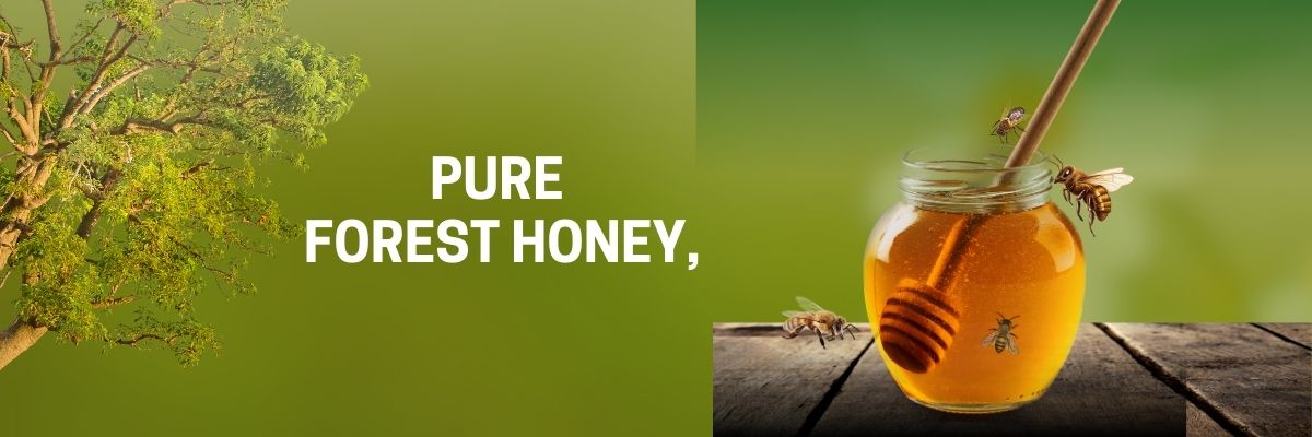 Learn the step-by-step process of importing honey into Vietnam. Understand the required documentation, animal quarantine procedures, food safety checks, and taxes for successful honey importation.
